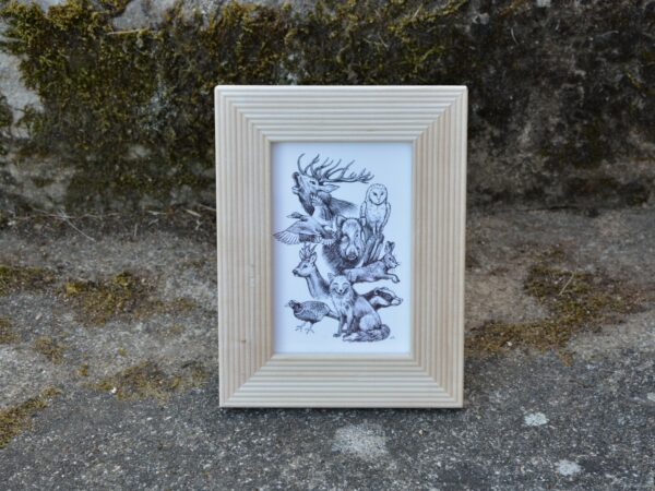 Les Animaux des bois – Image 3