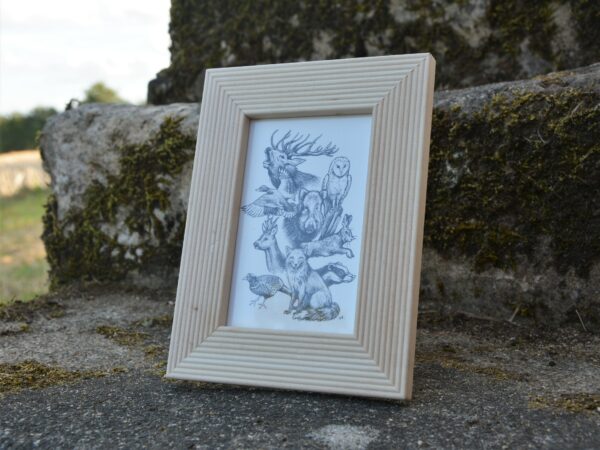 Les Animaux des bois – Image 4