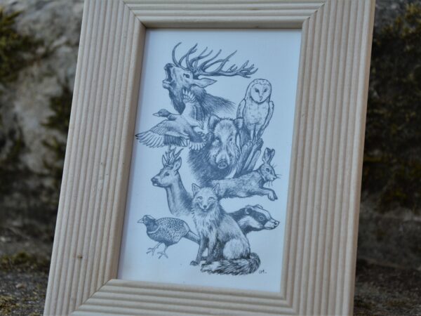 Les Animaux des bois – Image 6